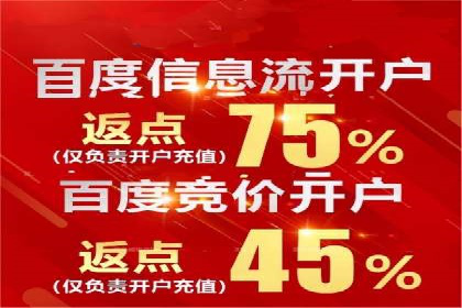 创新营销手段：百度包年竞价的未来趋势